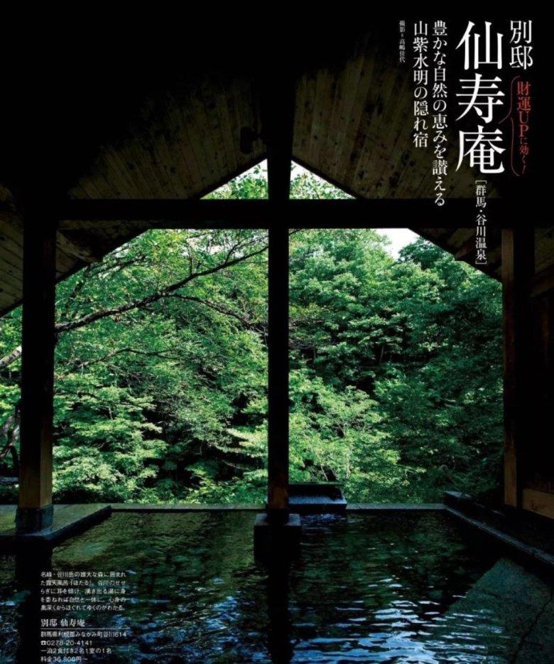 逃离白鸽之森