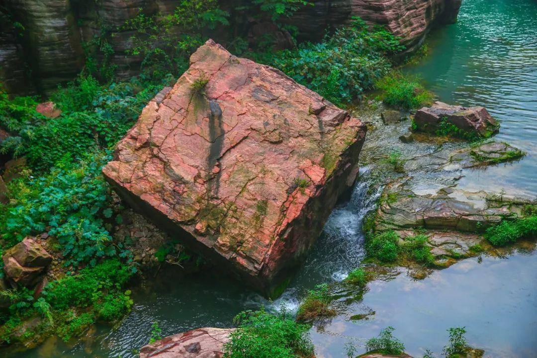 这一次豪门排场，郭晶晶没缺席！只是“贵妇天团”怎么不敢比了？